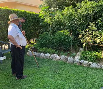 In Memoriam Saverio